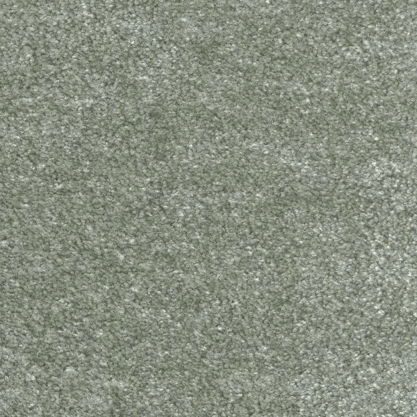 Ковровое покрытие AW Euphoria 28 - (5м) в Ульяновске