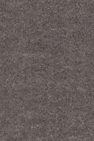 Ковровое покрытие AW Euphoria 45 - (5м) в Ульяновске