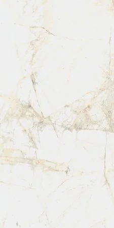 Керамогранит Coliseum Канова Уайт 60х120 (Натуральный и Реттифицированный) в Ульяновске