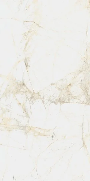 Керамогранит Coliseum Канова Уайт 60х120 (Натуральный и Реттифицированный) в Ульяновске