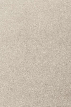 Ковровое покрытие AW Oinone 39 - (5м) в Ульяновске