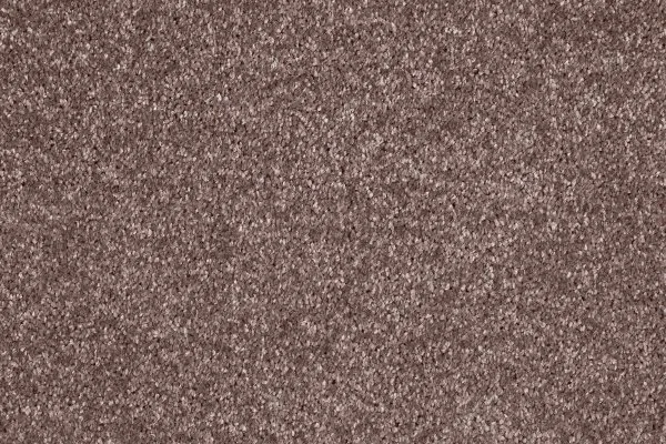 Ковровое покрытие AW Gala 60 - (5м) в Ульяновске