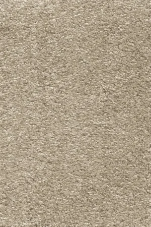 Ковровое покрытие AW Omnia 33 - (4м) в Ульяновске